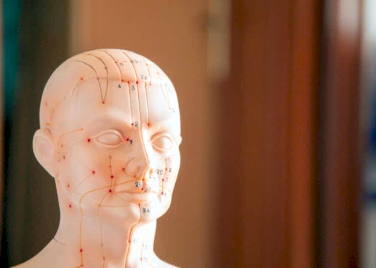 Meridians in Yin yoga